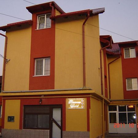 Pensiunea Vladut Timisoara Exterior foto