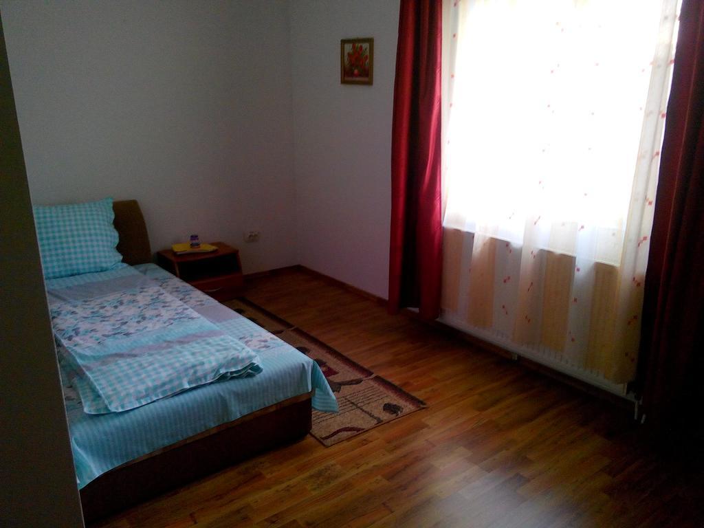 Pensiunea Vladut Timisoara Habitación foto