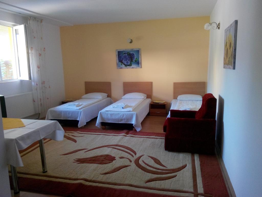 Pensiunea Vladut Timisoara Exterior foto