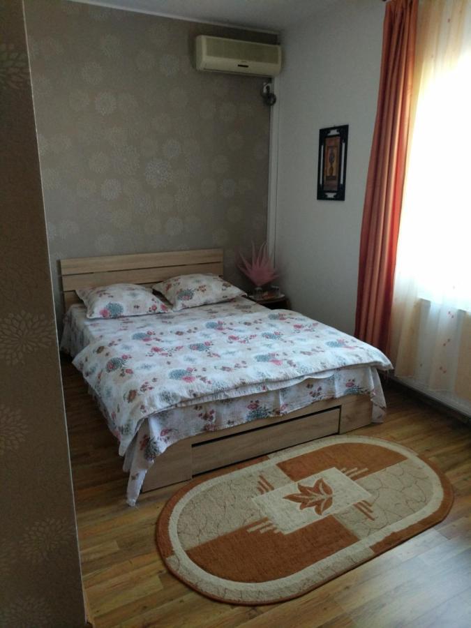 Pensiunea Vladut Timisoara Exterior foto