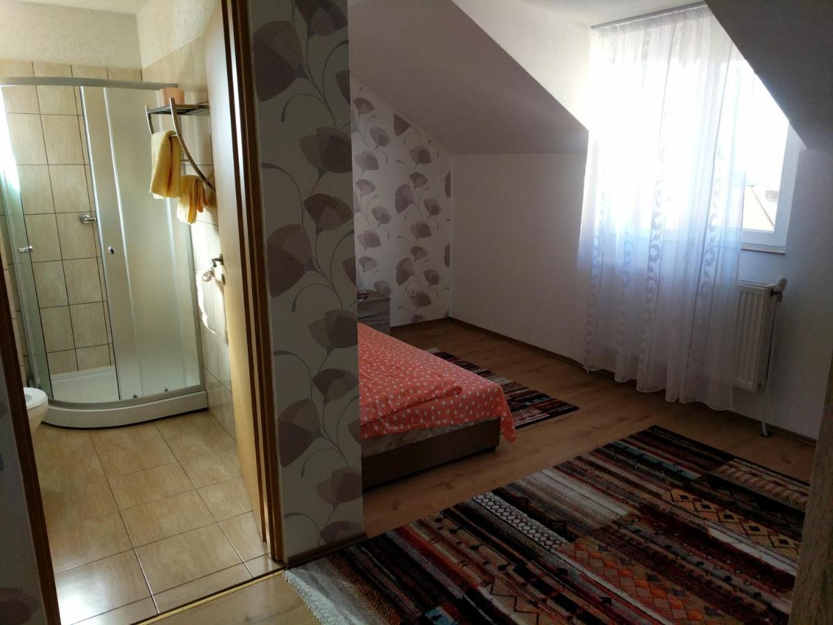 Pensiunea Vladut Timisoara Exterior foto